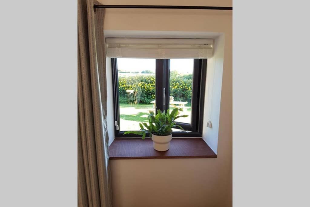 Milking Shed Cottage Narberth Zewnętrze zdjęcie