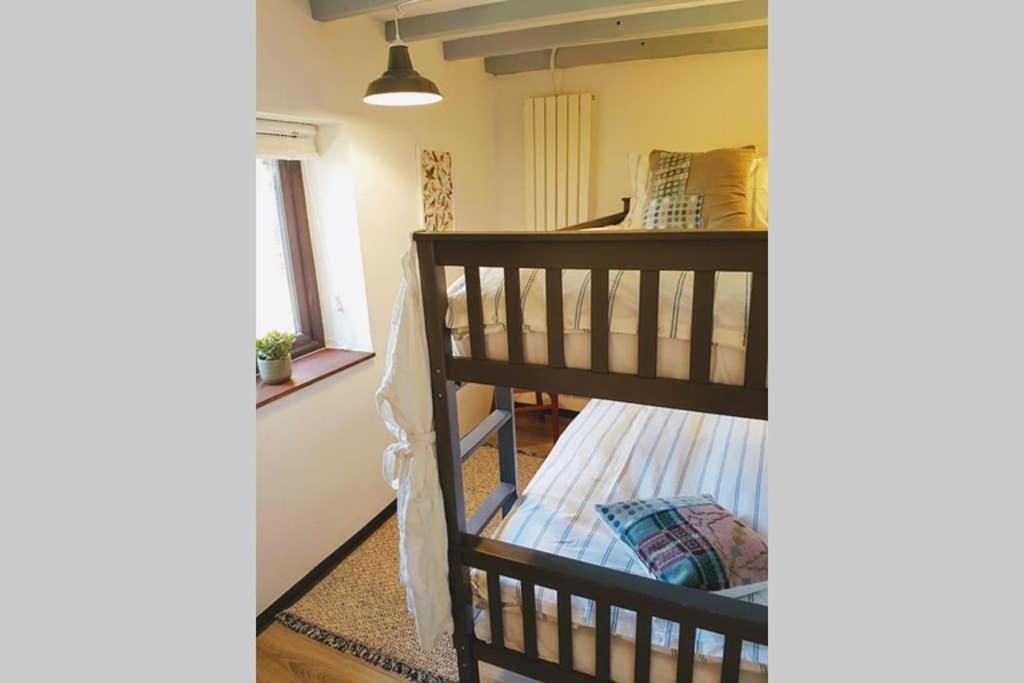 Milking Shed Cottage Narberth Zewnętrze zdjęcie